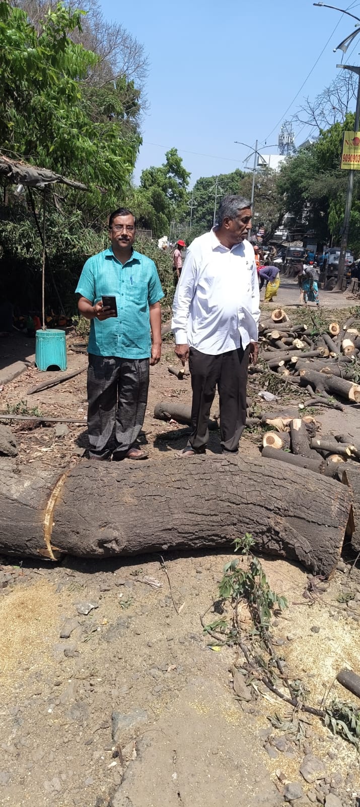 नाशिकमध्ये शंभर वर्षांची झाडे तोडल्याचा आरोप; नागरिक संतप्त, आंदोलनाचा इशारा